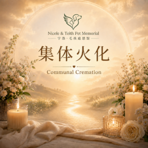 集体火化 Communal Cremation