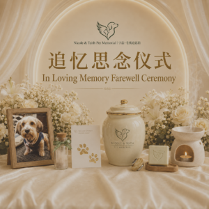 追忆思念告别仪式 In Loving Memory Farewell Ceremony